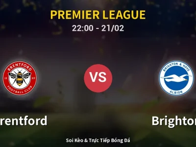 🔴 Trực Tiếp: Brentford 0-0 Brighton – Link Xem Premier League (Full HD)