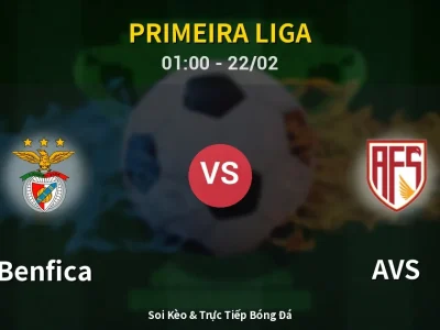 Kết Quả: Benfica 3-0 AVS – Highlight & Bàn Thắng | Primeira Liga