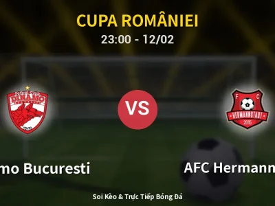 Soi Kèo Dinamo Bucuresti vs AFC Hermannstadt – 23:00 12/02 | Nhận Định, Dự Đoán Tỷ Số