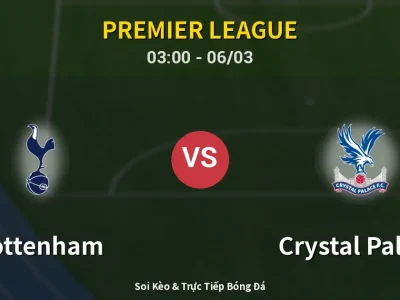 Kết Quả: Tottenham 1-3 Crystal Palace – Highlight & Bàn Thắng | Premier League