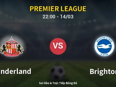 🔴 Trực Tiếp: Sunderland 0-0 Brighton – Link Xem Premier League (Full HD)