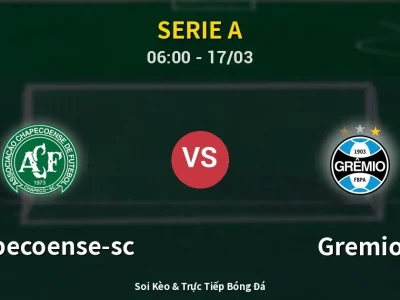 Kết Quả: Chapecoense-sc 1-1 Gremio – Highlight & Bàn Thắng | Serie A