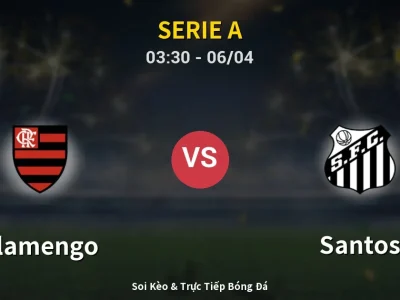 Kết Quả: Flamengo 3-1 Santos – Highlight & Bàn Thắng | Serie A